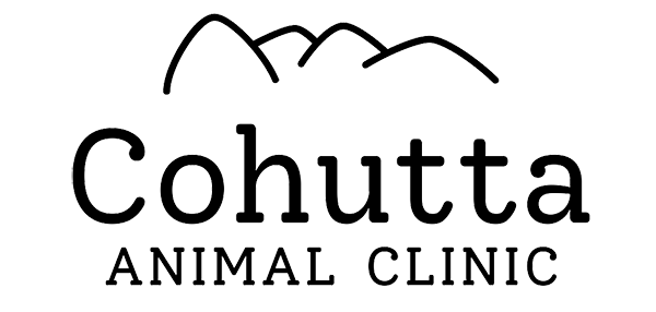 Cohutta Animal Clinic
