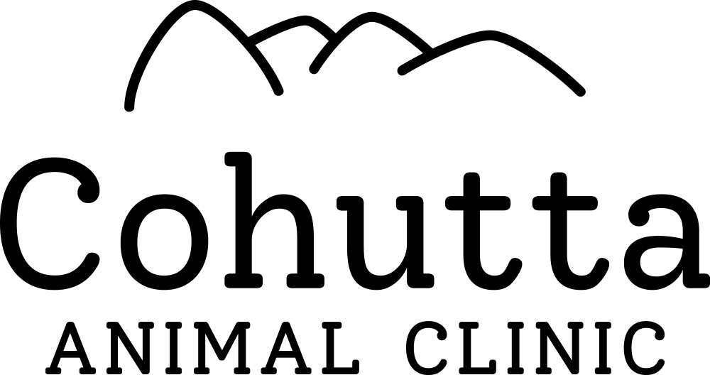 Cohutta Animal Clinic logo