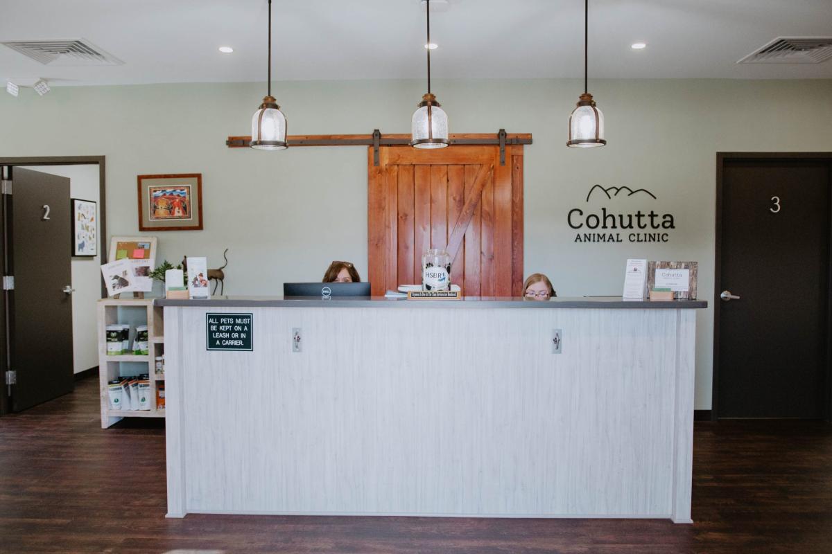 DSC_0587-scaled the warm and inviting farmhouse-style front desk at Cohutta Animal Clinic