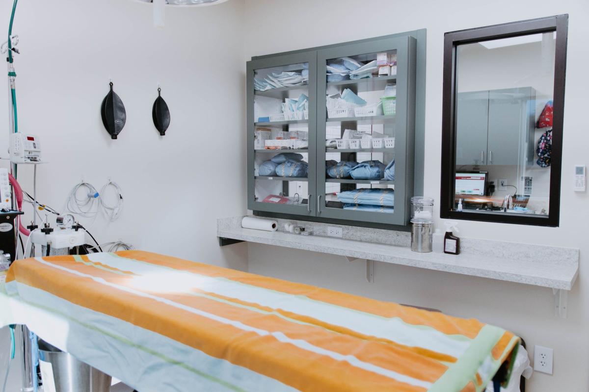 DSC_1227-scaled exam room at Cohutta Animal Clinic