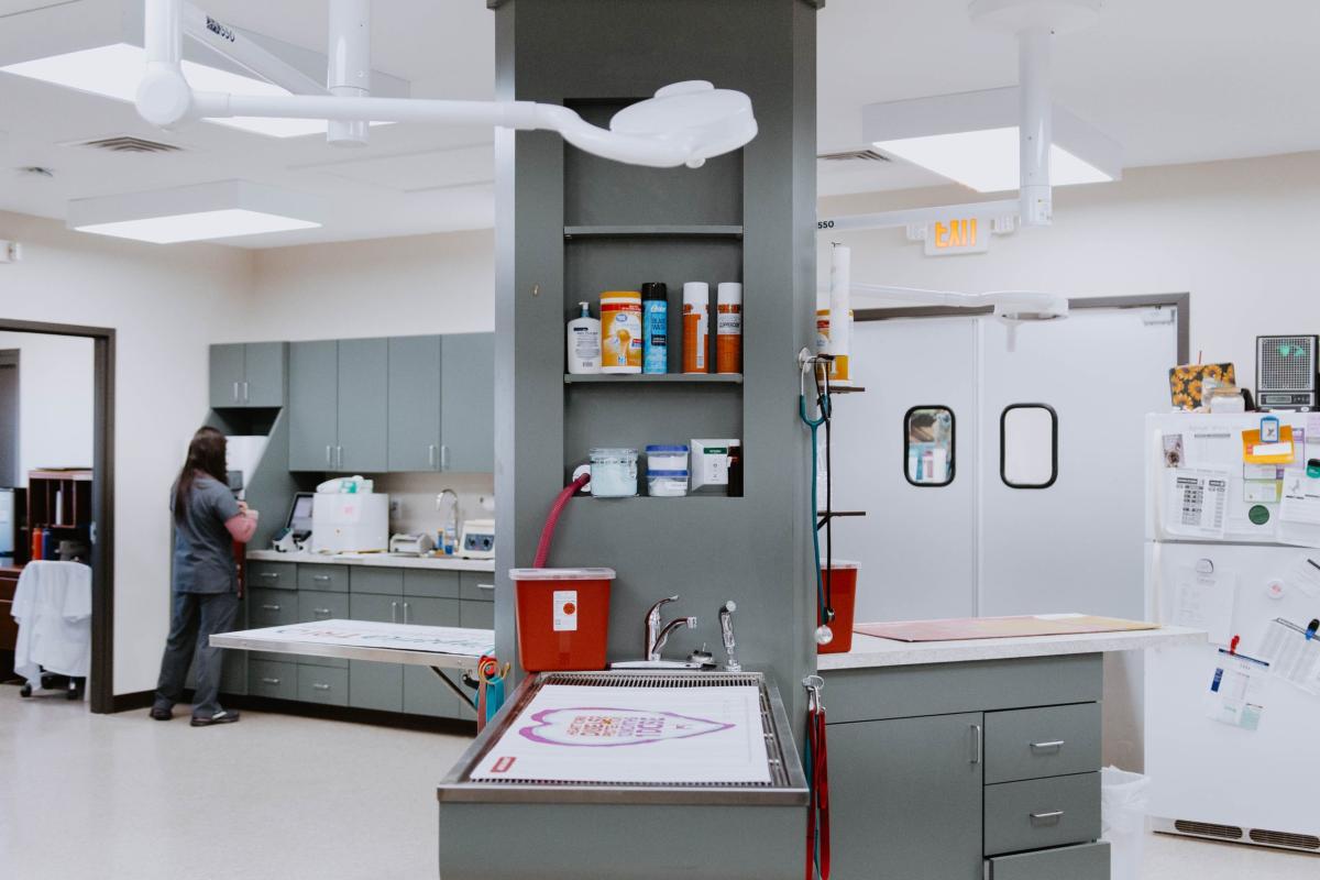 DSC_1279-scaled exam tables at Cohutta Animal Clinic