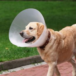 pet vaccination icon