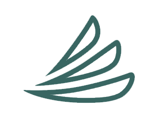 CareCredit geren icon
