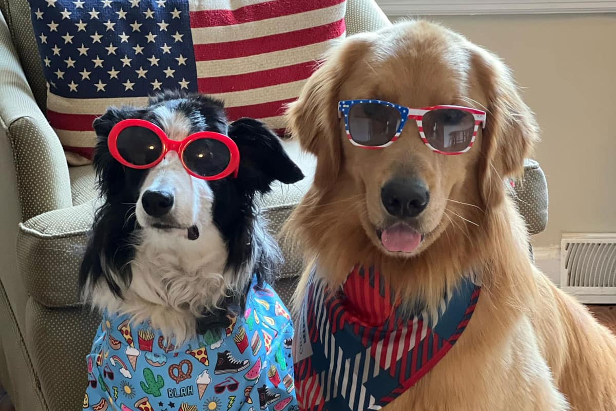 clinic_outside-1200x800-1 Dogs with sunglasses